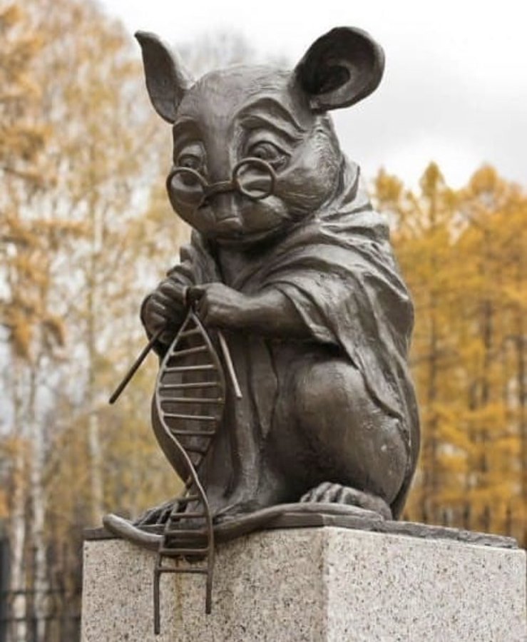 Siberia's Unique Tribute: A Mouse, DNA, and the Unseen Sacrifices of Genetic Research